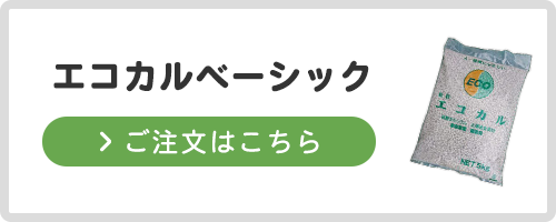 ご注文はこちら