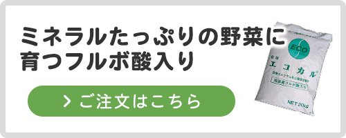 ご注文はこちら