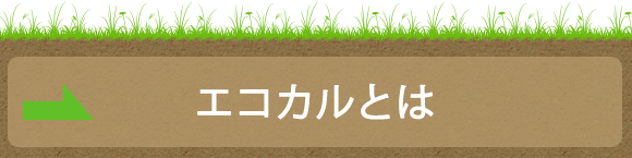 エコカルとは